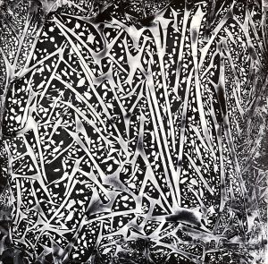 NEGRO ARMA TU HISTORIA DESOLACION