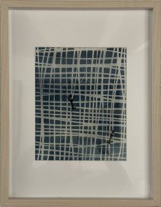 CIANOTIPA MONITOS C MARCO